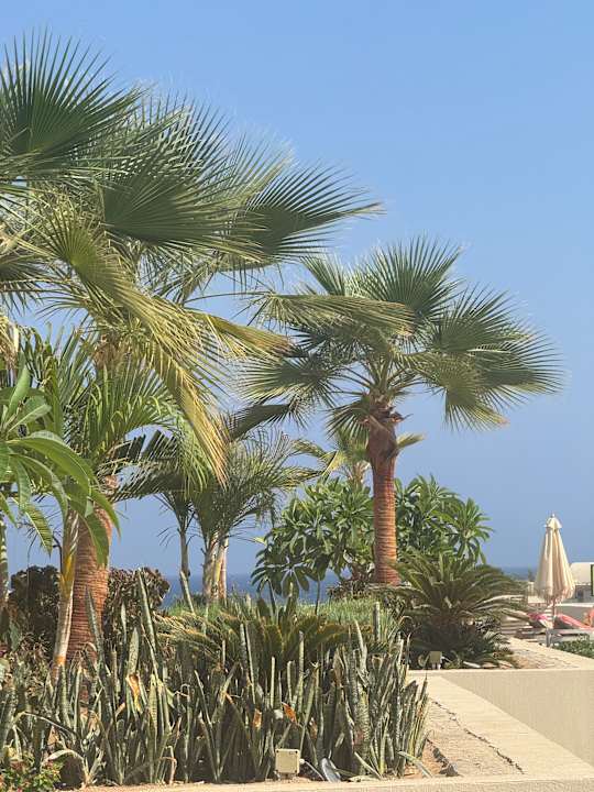 Gartenanlage SUNRISE Anjum Resort Marsa Alam