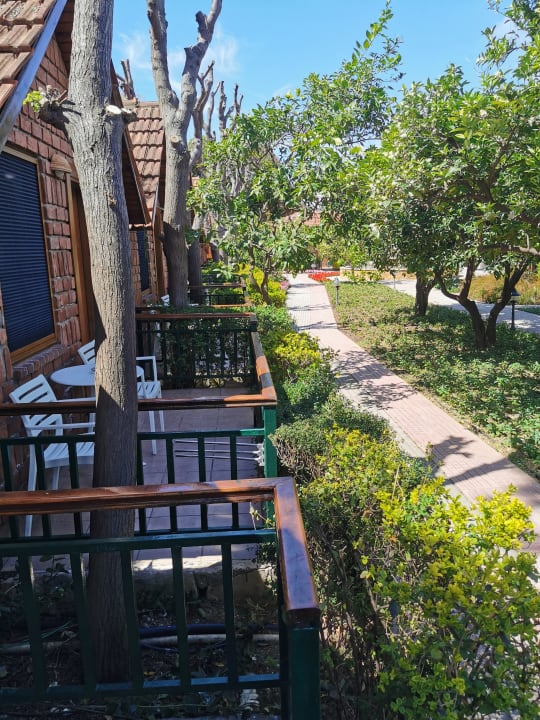 Ausblick Can Garden Beach