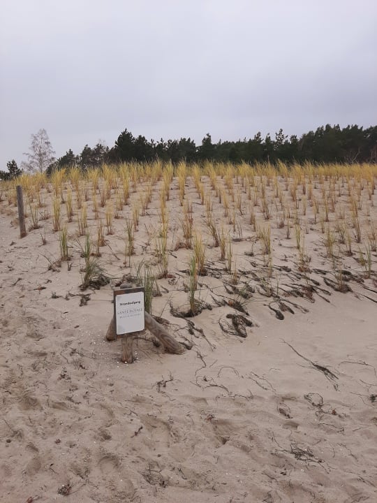 Strand Santé Royale Rügen Resort
