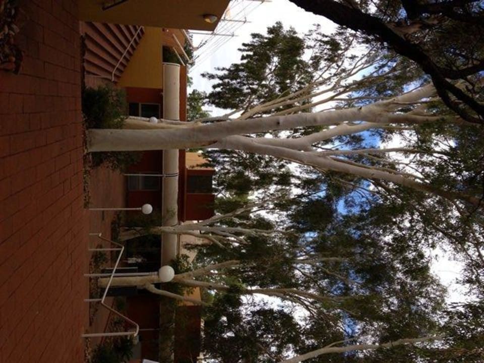 Zum Zimmer durch Gartenanlage Hotel Desert Gardens