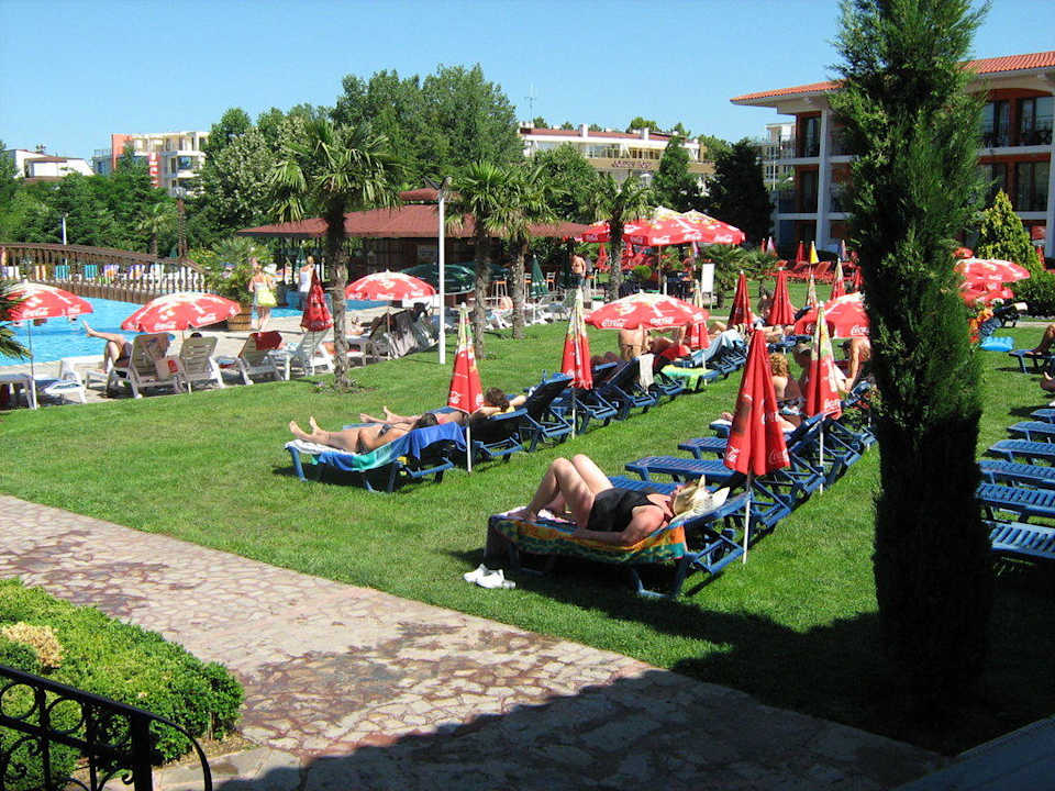 Pool 1 Hotel Hrizantema