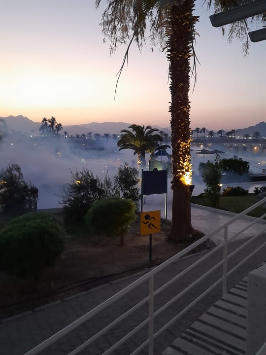 Pool Pickalbatros Golf Beach Resort