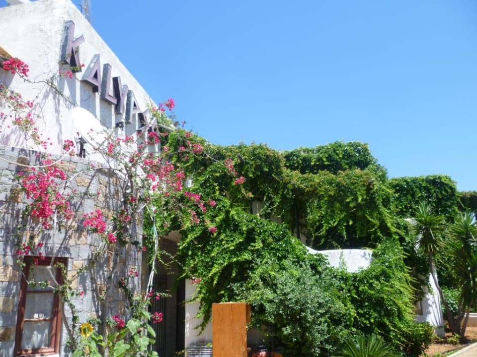 Das Hotel Kalypso Hotel