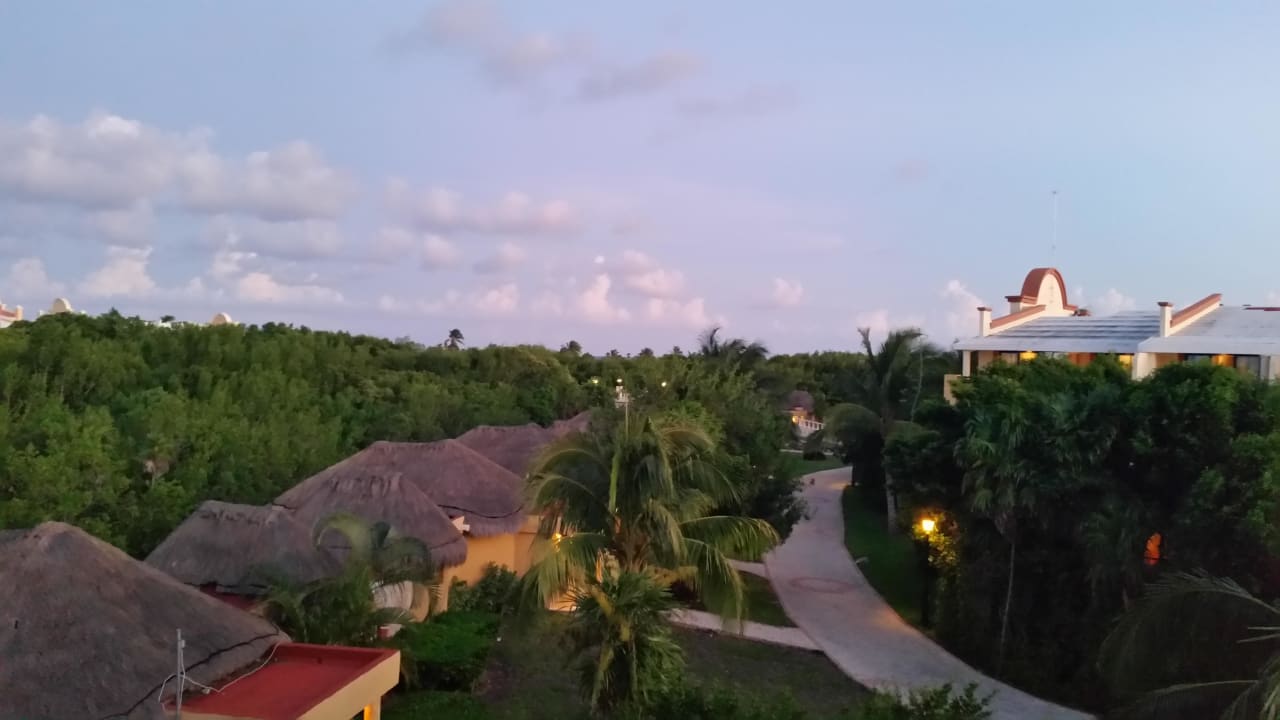 Ausblick TRS Yucatan Hotel - Adults only