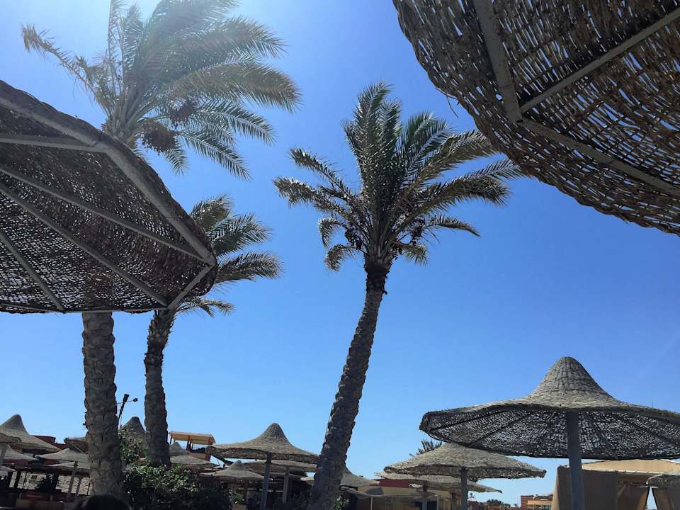 Strand Malikia Resort Abu Dabbab