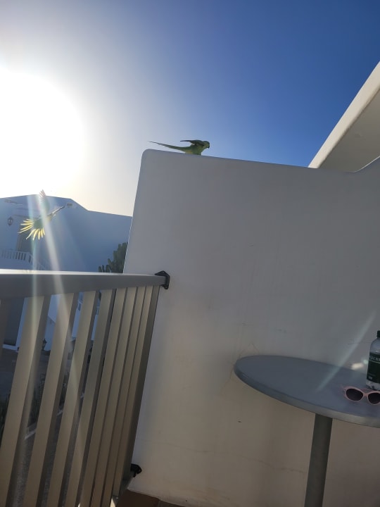 Zimmer Hotel Floresta