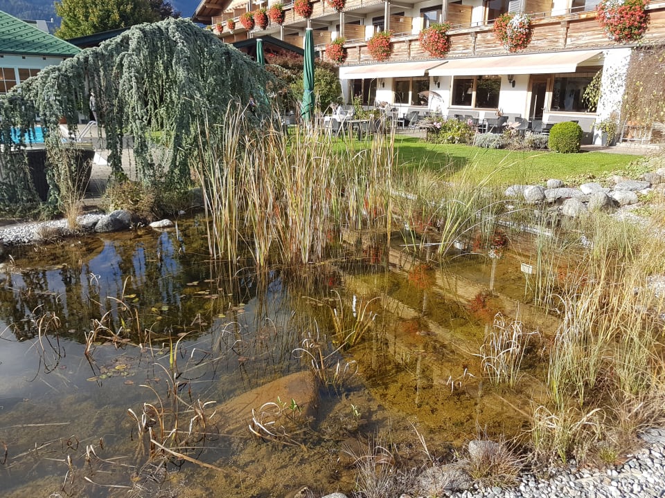 Gartenanlage Hotel Pirchnerhof