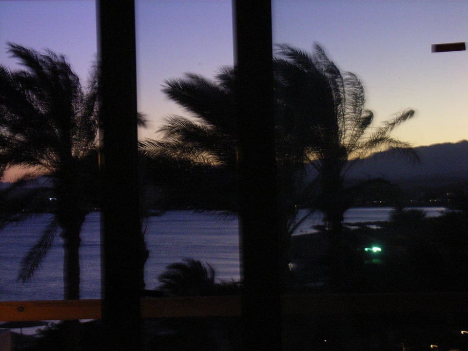 Ausblick aus Zimmer Fort Arabesque Resort, Spa & Villas