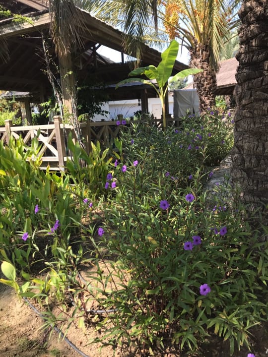 Restaurant Royal Wings Hotel