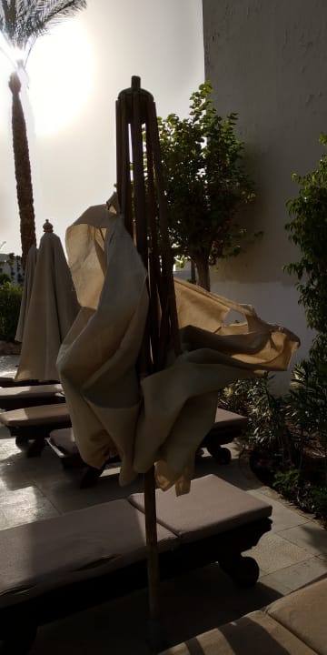 Pool Ghazala Gardens