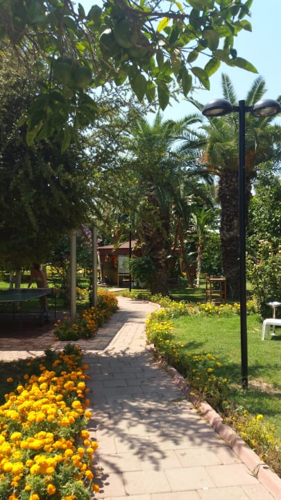 Gartenanlage Seher Kumköy Star Resort & Spa