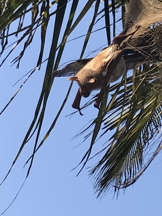 Sonstiges Royal Zanzibar Beach Resort