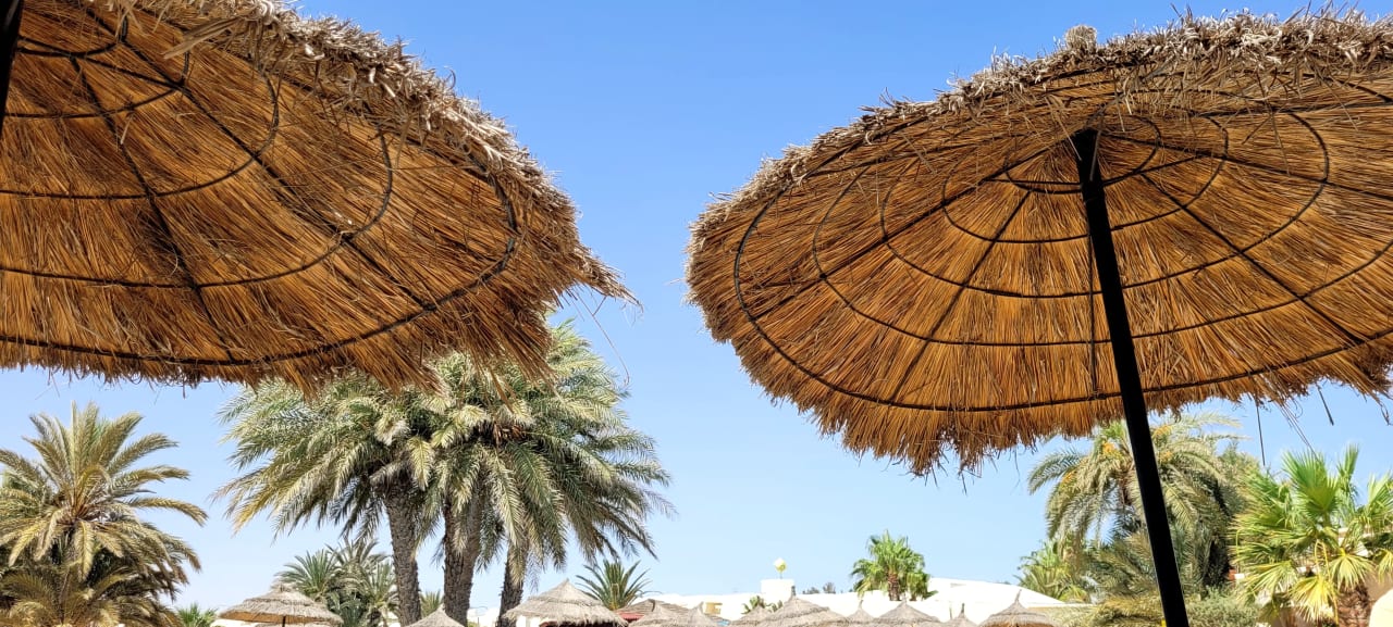 Gartenanlage TUI MAGIC LIFE Penelope Beach