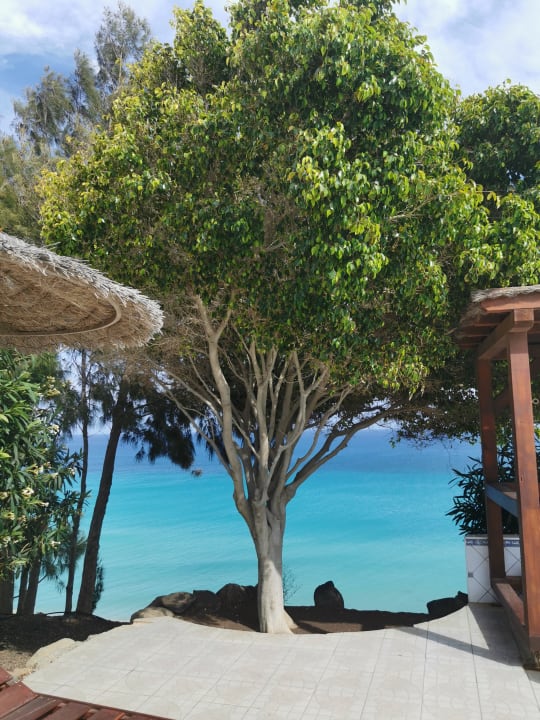 Ausblick Marina Playa Suite Hotel