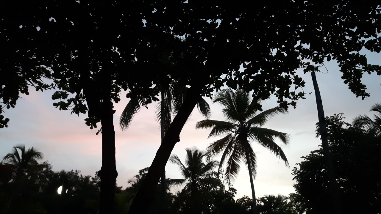 Gartenanlage Wyndham Alltra Samana