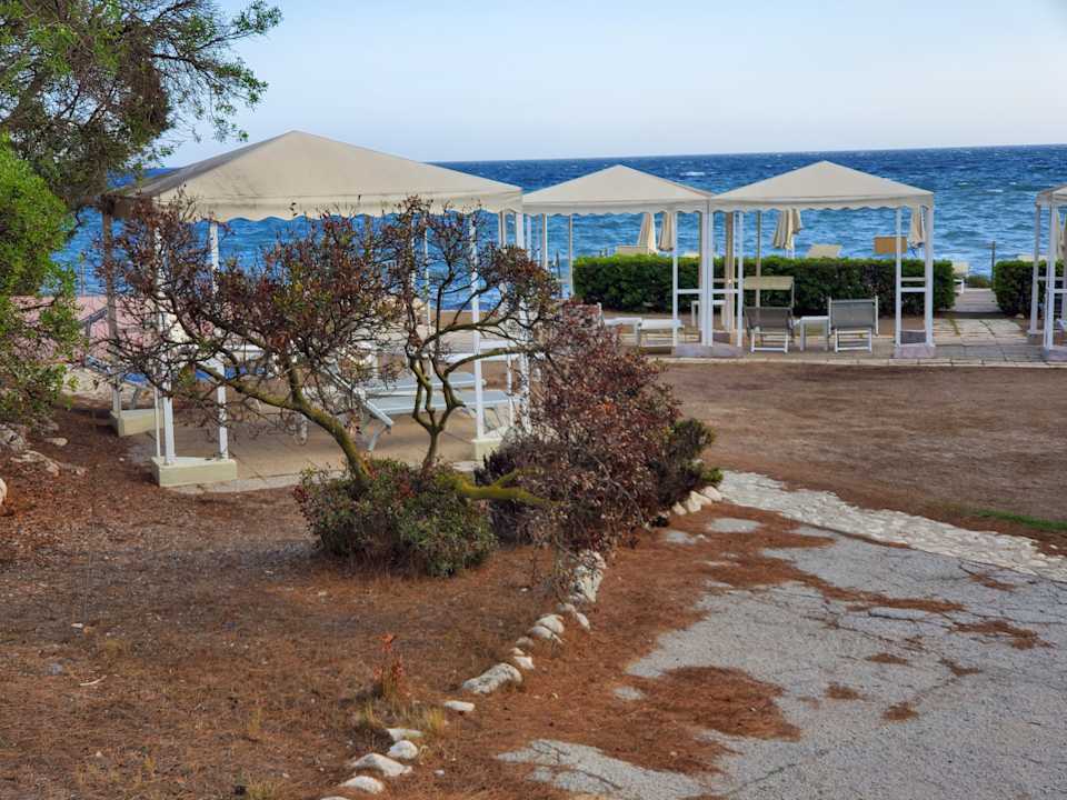 Gartenanlage Hotel Calamosca