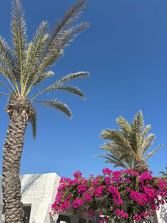 Außenansicht ROBINSON DJERBA BAHIYA