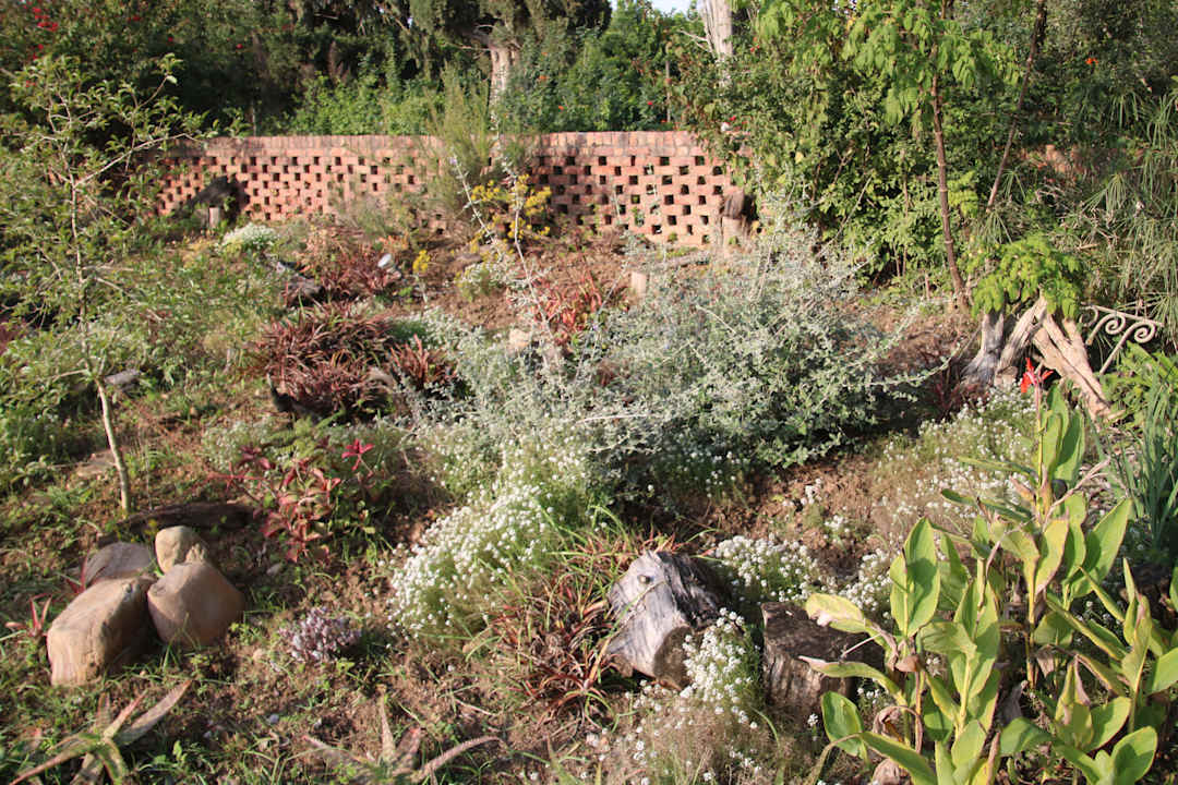 Gartenanlage Guesthouse Gerald's Gift