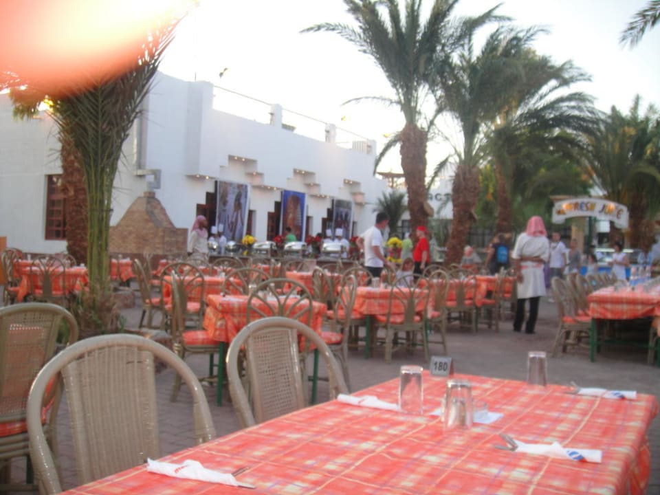 Evening buffet Menaville Safaga