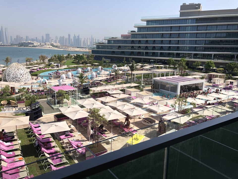 Pool W Dubai - The Palm