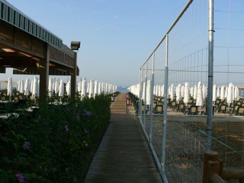 Beachbar und Volleyball Sentido Trendy Verbena Beach