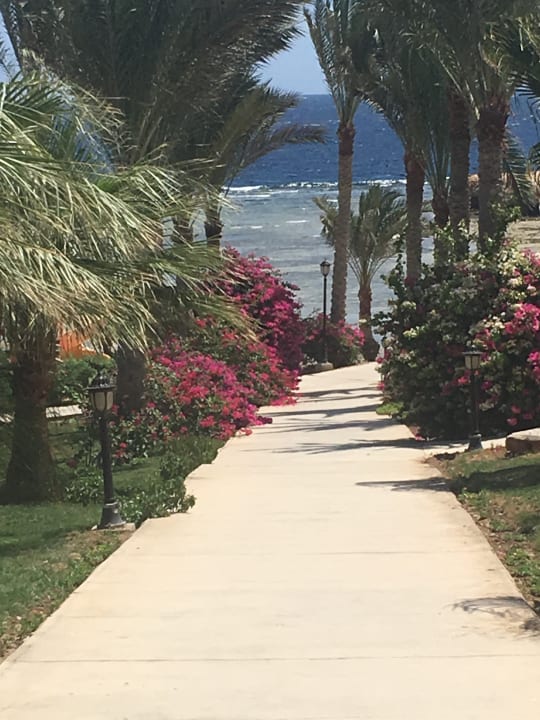 Gartenanlage Brayka Bay Resort