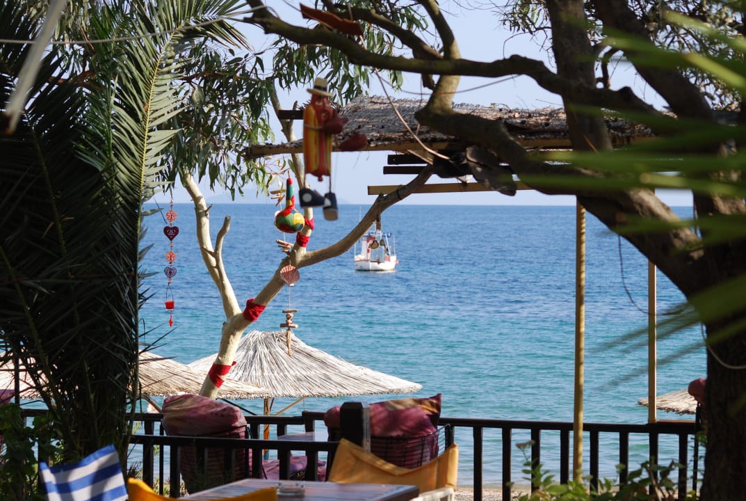 Blick zum Strand Blue Dolphin Resort Hotel