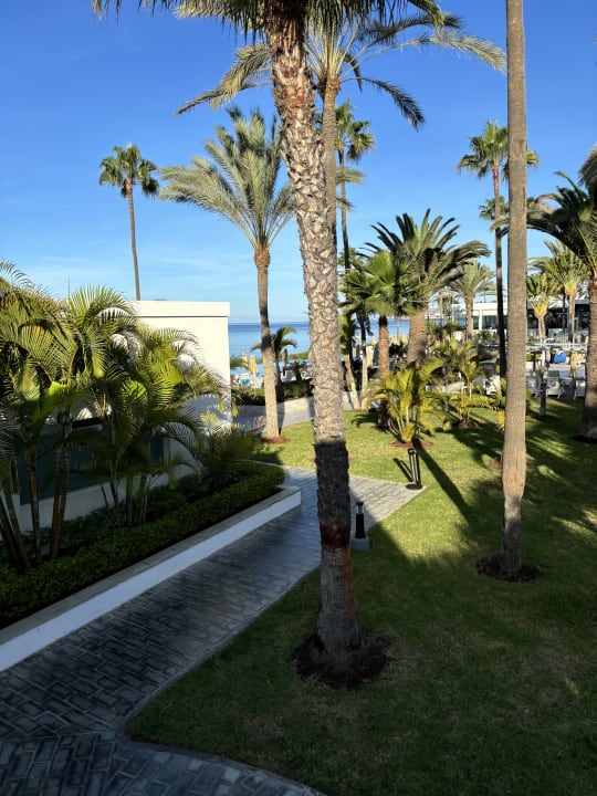 Zimmer Hotel Riu Palace Meloneras