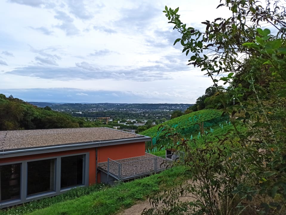 Außenansicht JUFA Hotel Königswinter