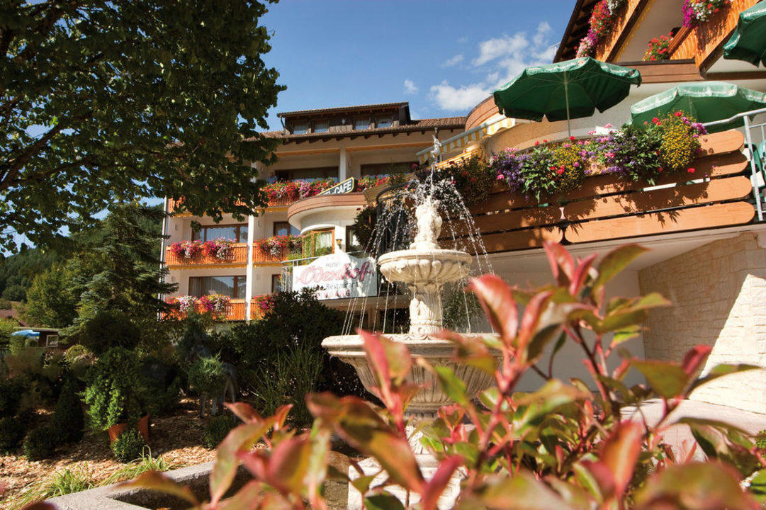 Der Ödenhof Blüht Ferienhotel Ödenhof