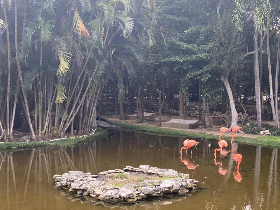 Gartenanlage Grand Palladium Select White Sand Resort & Spa