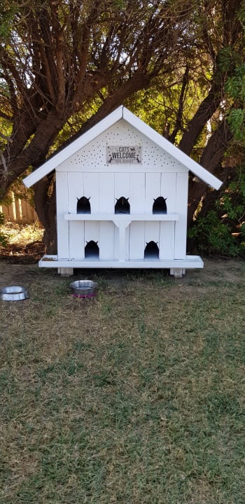 Sonstiges Atlantica Plimmiri