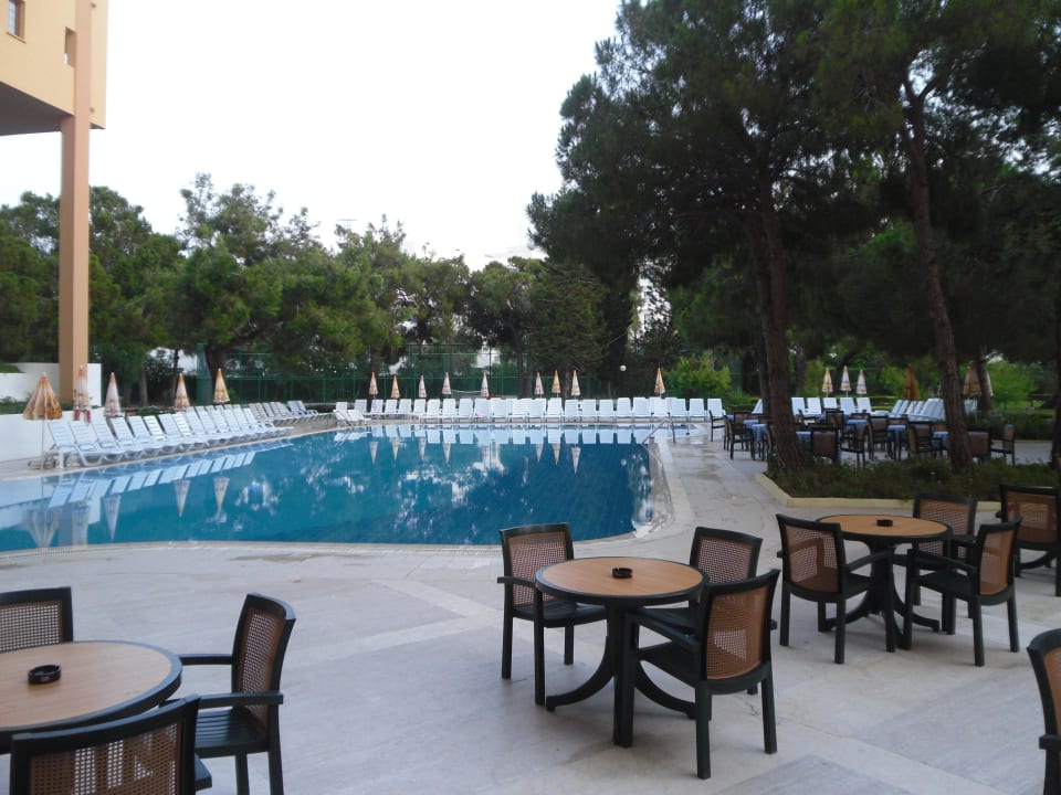Pool Asteria Collection Side