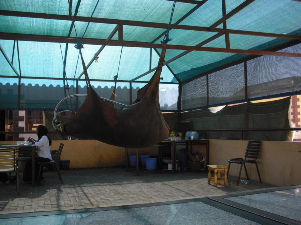 Freiluftrestaurant mit Wasserschläuchen Hotel Oasis Bajawariya