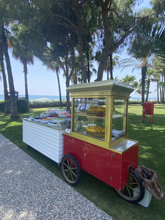 Gastro Acanthus Cennet Barut Collection