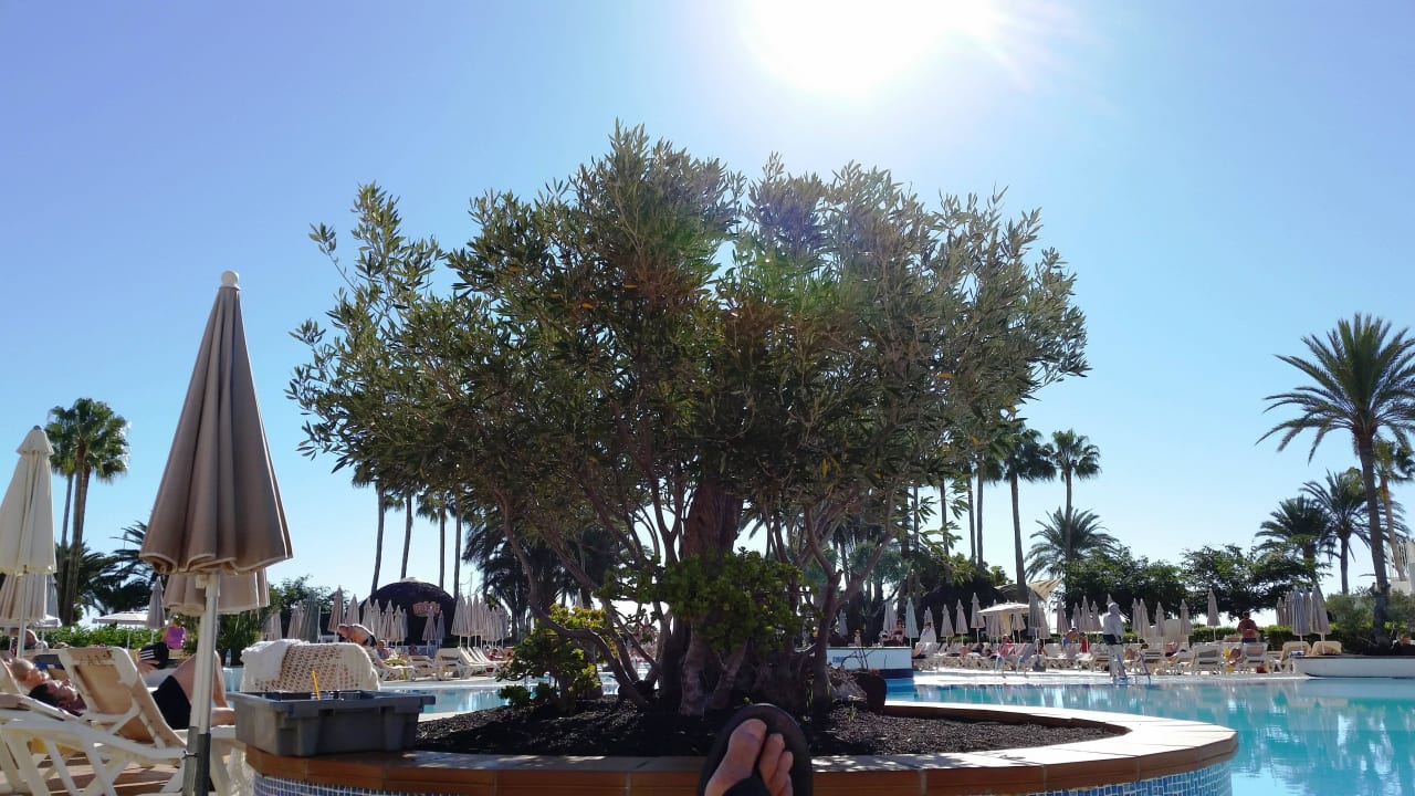 Poolbereich Hotel Riu Paraiso Lanzarote