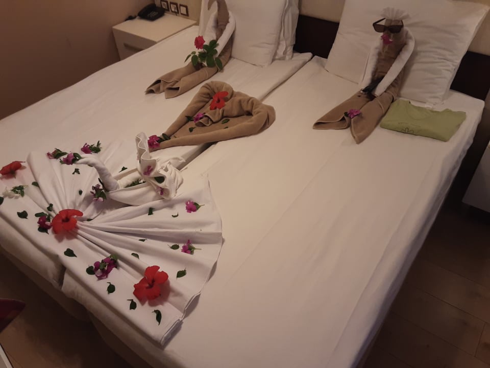 Zimmer Hotel Defne Garden