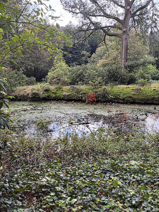 Sonstiges Vila Vita Burghotel Dinklage