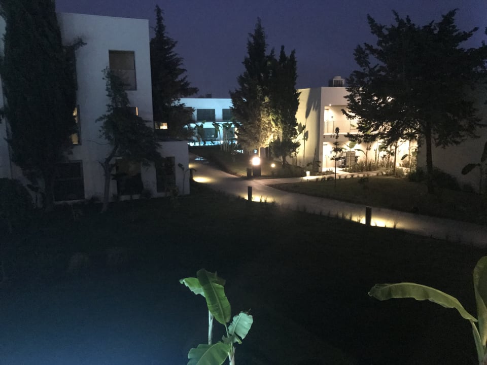 Außenansicht Paloma Finesse