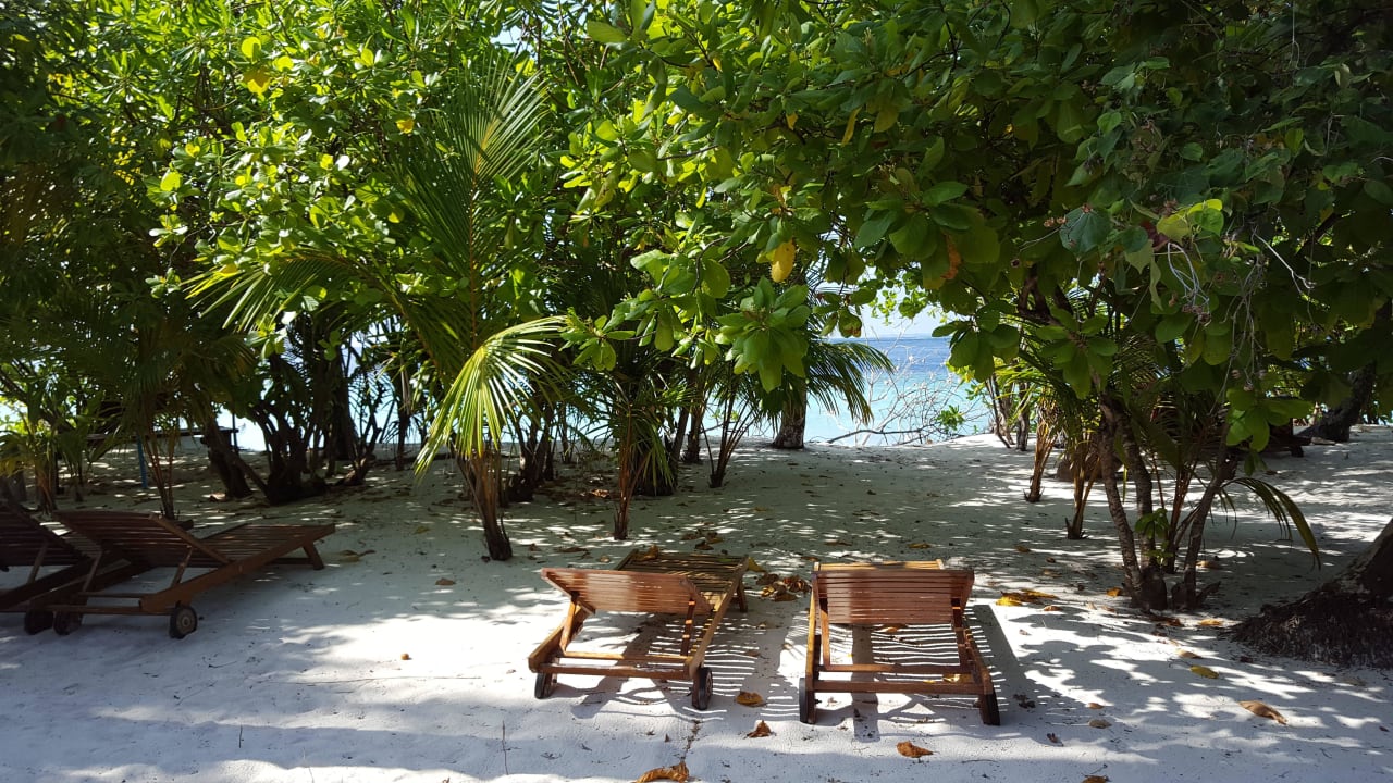 Ausblick von unserm Bungi Filitheyo Island Resort