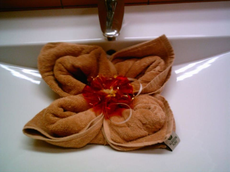 Detalle de la camarera SBH Hotel Taro Beach