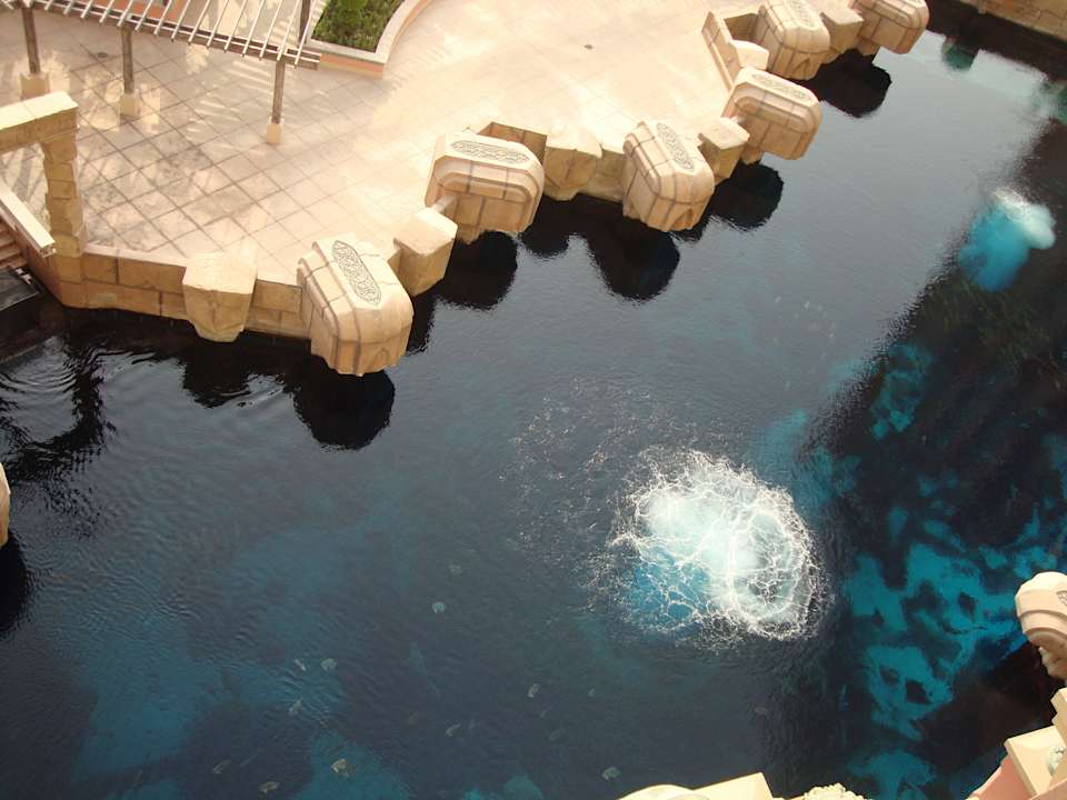 Aquarium von oben Atlantis, The Palm