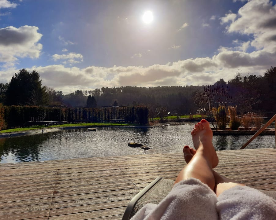 Ausblick Pfalzblick Wald Spa Resort