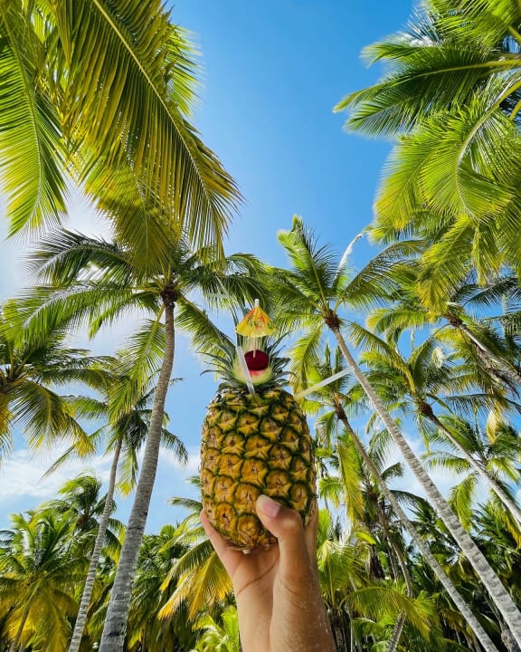 Gartenanlage Hotel Viva Dominicus Beach by Wyndham - All Inclusive Resort