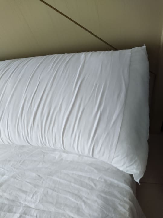 Zimmer blau punta reina