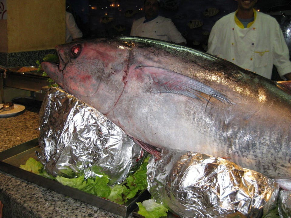 Thunfisch Hotel Paradis Palace