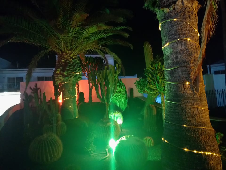 Gartenanlage Hotel Floresta