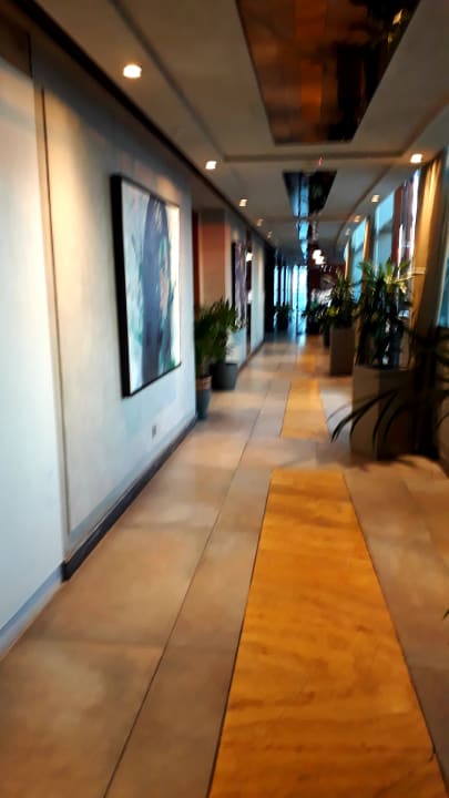 Gastro Downtown Rotana