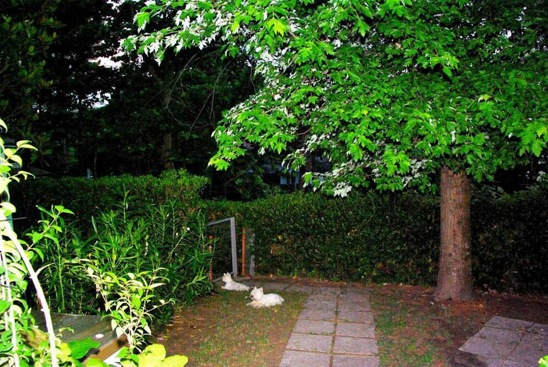 Villa Erika und was dazu gehört Villa Erica