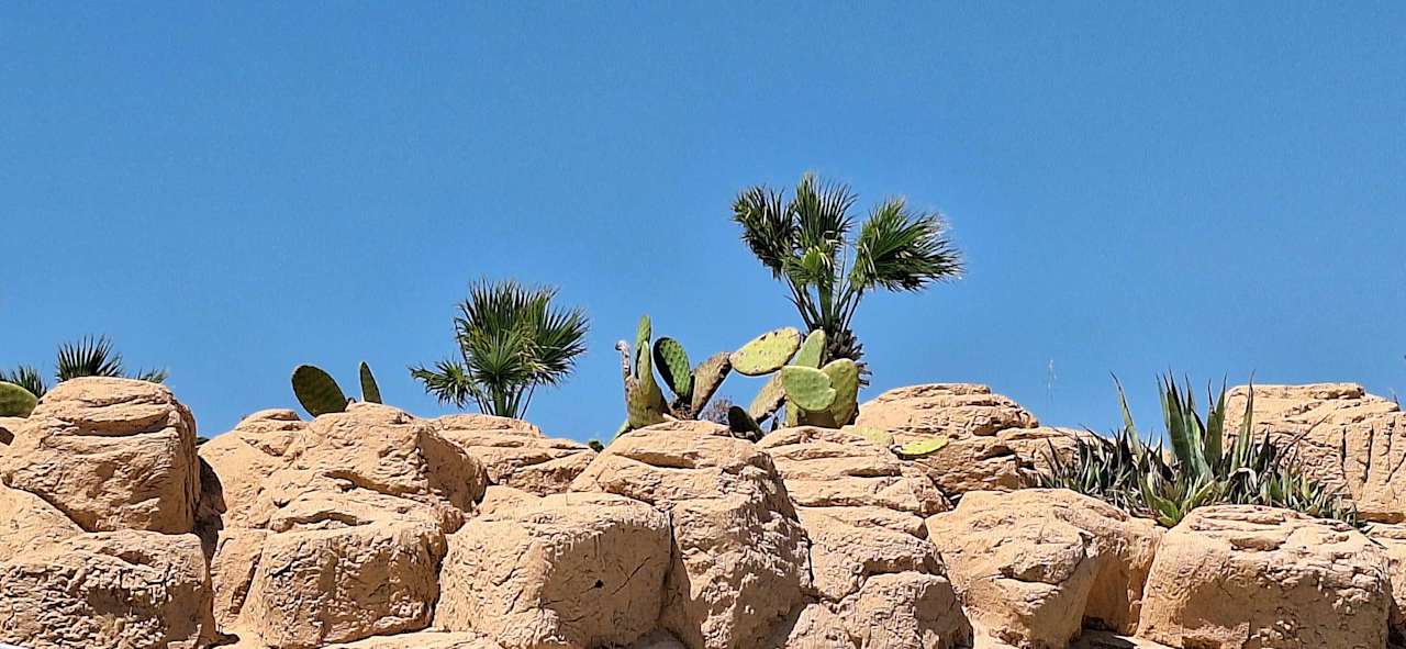 Pool Lucas Didim Resort